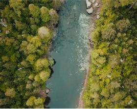 Image of a river from above