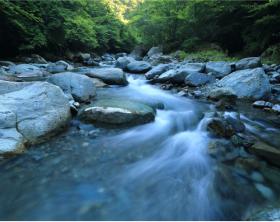 Image of a river from above